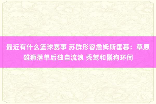 最近有什么篮球赛事 苏群形容詹姆斯垂暮：草原雄狮落单后独自流浪 秃鹫和鬣狗环伺